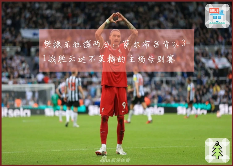 樊振东独揽两分，萨尔布吕肯以3-1战胜云达不莱梅的主场告别赛