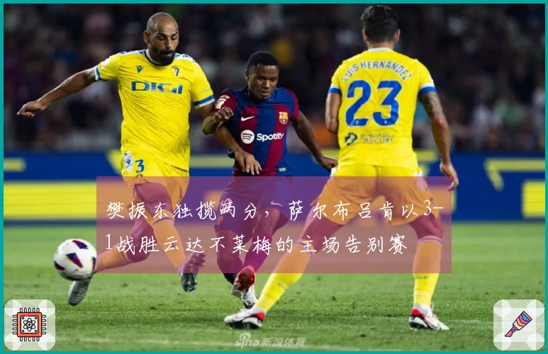 樊振东独揽两分，萨尔布吕肯以3-1战胜云达不莱梅的主场告别赛