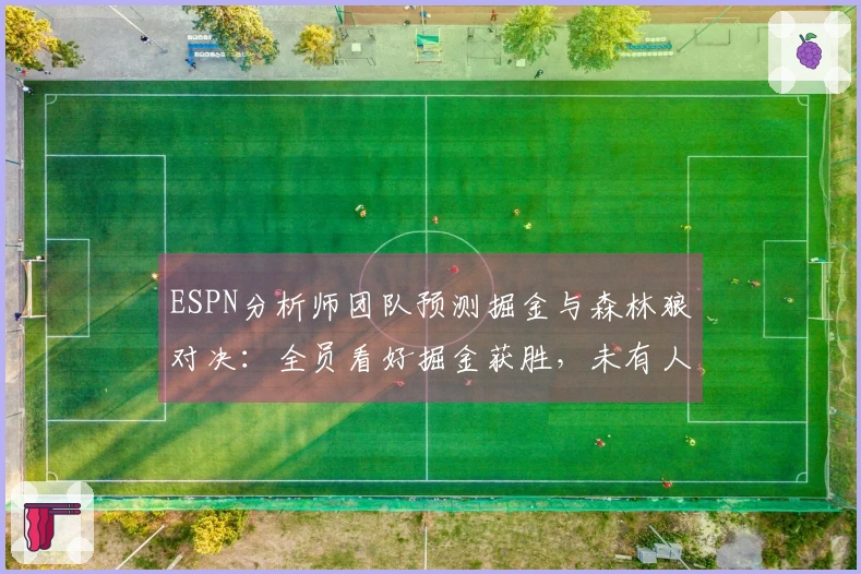 ESPN分析师团队预测掘金与森林狼对决：全员看好掘金获胜，未有人预言横扫